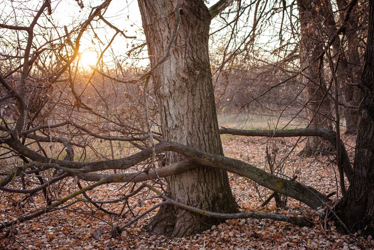 Tracing patterns in entangled worlds: Developing New-Hermetic Materialism for educational research